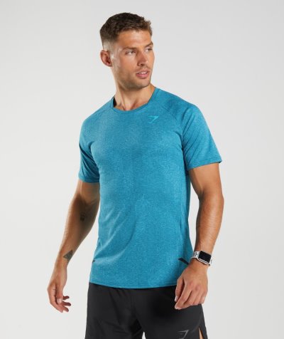 Blue / Blue Men's Gymshark Apex T Shirts | CA3414-263
