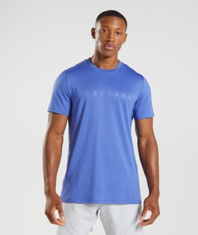 Blue Men's Gymshark Sport Stripe T Shirts | CA4035-151