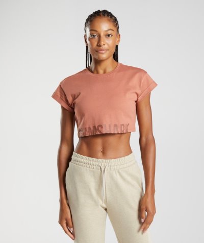 Brown Women's Gymshark Fraction Cropped Tops | CA2084-701