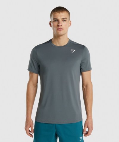 Deep Grey Men's Gymshark Arrival Regular Fit T Shirts | CA7228-267