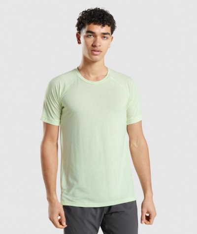 Green Men's Gymshark Studio Amplify T Shirts | CA6417-630