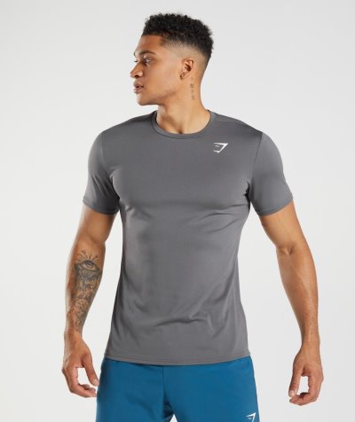 Grey Men's Gymshark Arrival T Shirts | CA4216-306