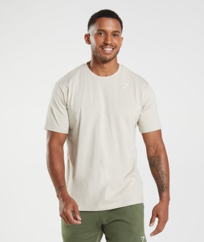 Grey Men's Gymshark Crest T Shirts | CA7246-296