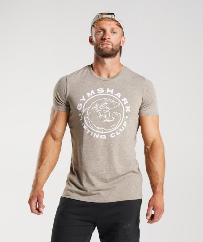 Light Green Men's Gymshark Legacy T Shirts | CA6921-683