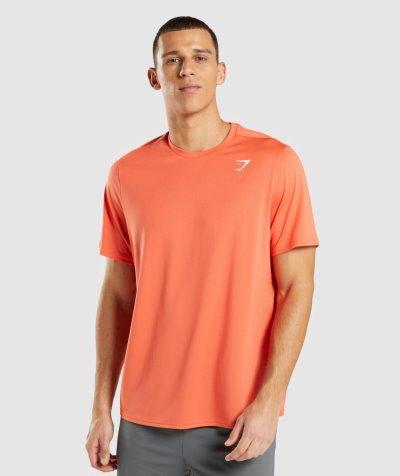 Orange Men's Gymshark Arrival Regular Fit T Shirts | CA4900-912