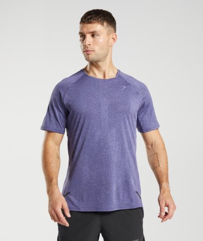 Purple / Purple Men's Gymshark Apex T Shirts | CA7224-168