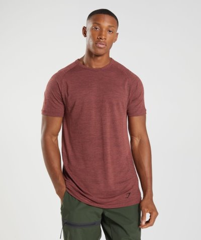 Rose Brown / Black Men's Gymshark Retake Seamless T Shirts | CA1060-663