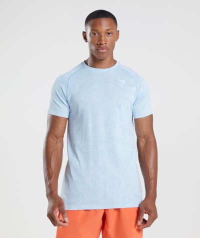 White / Blue Men's Gymshark Geo Seamless T Shirts | CA8238-452