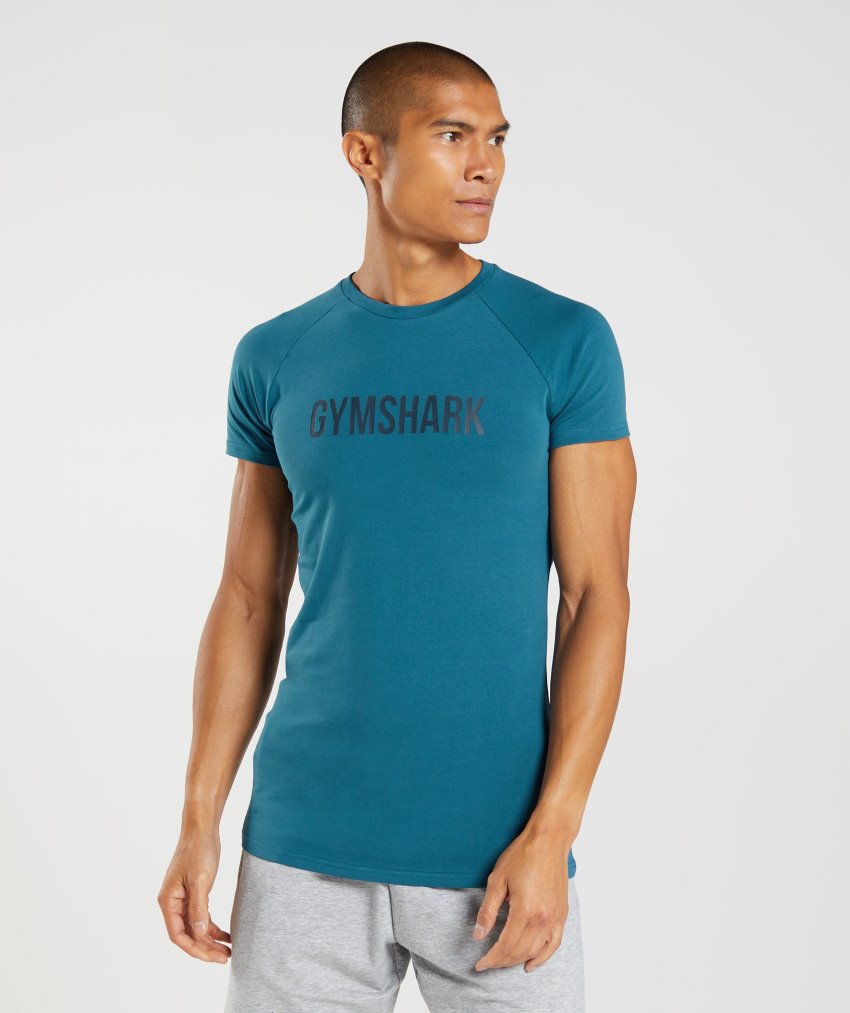 Blue Men\'s Gymshark Apollo T Shirts | CA2938-372