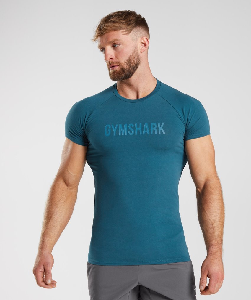Blue Men\'s Gymshark Apollo T Shirts | CA6172-160