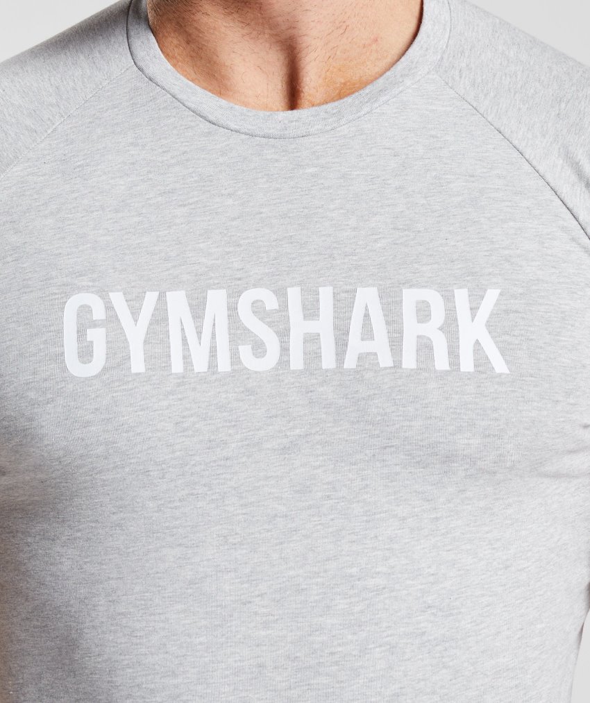 Light Grey Men's Gymshark Apollo T Shirts | CA4972-670