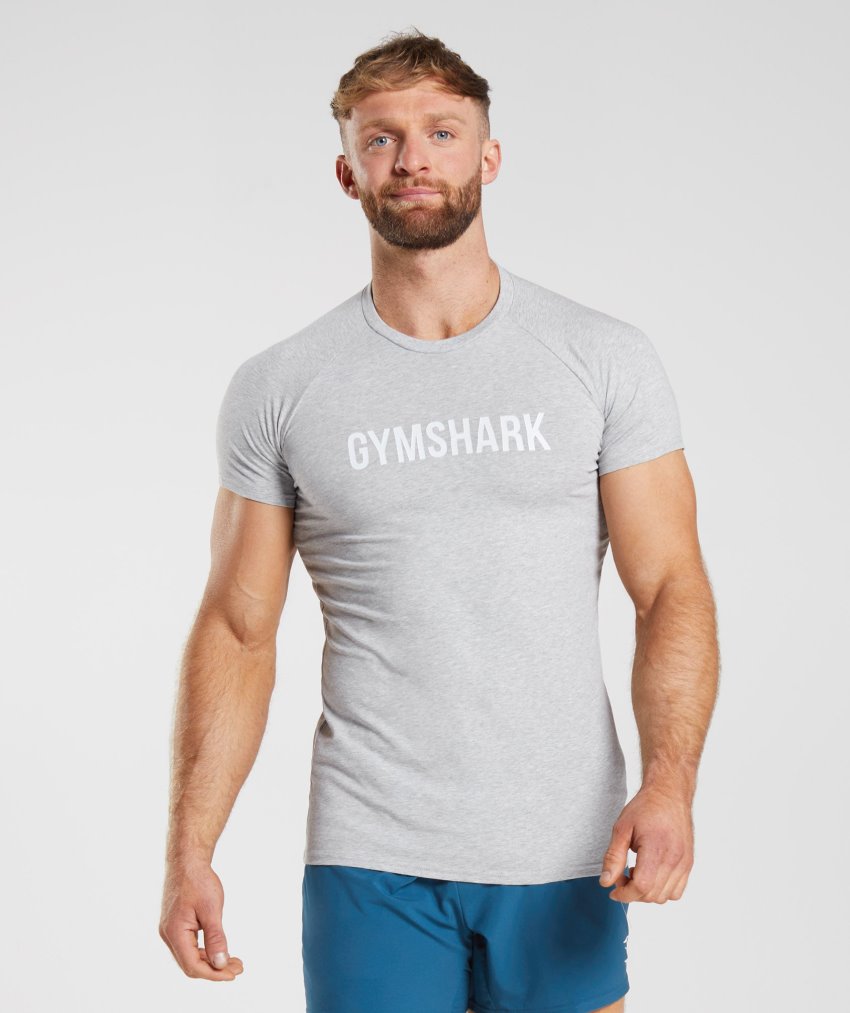 Light Grey Men\'s Gymshark Apollo T Shirts | CA4972-670