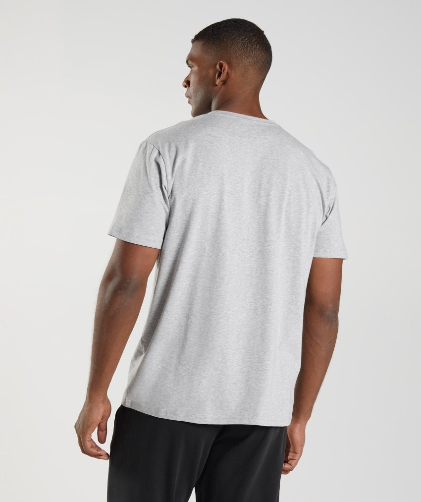 Light Grey Men's Gymshark Block T Shirts | CA8337-064