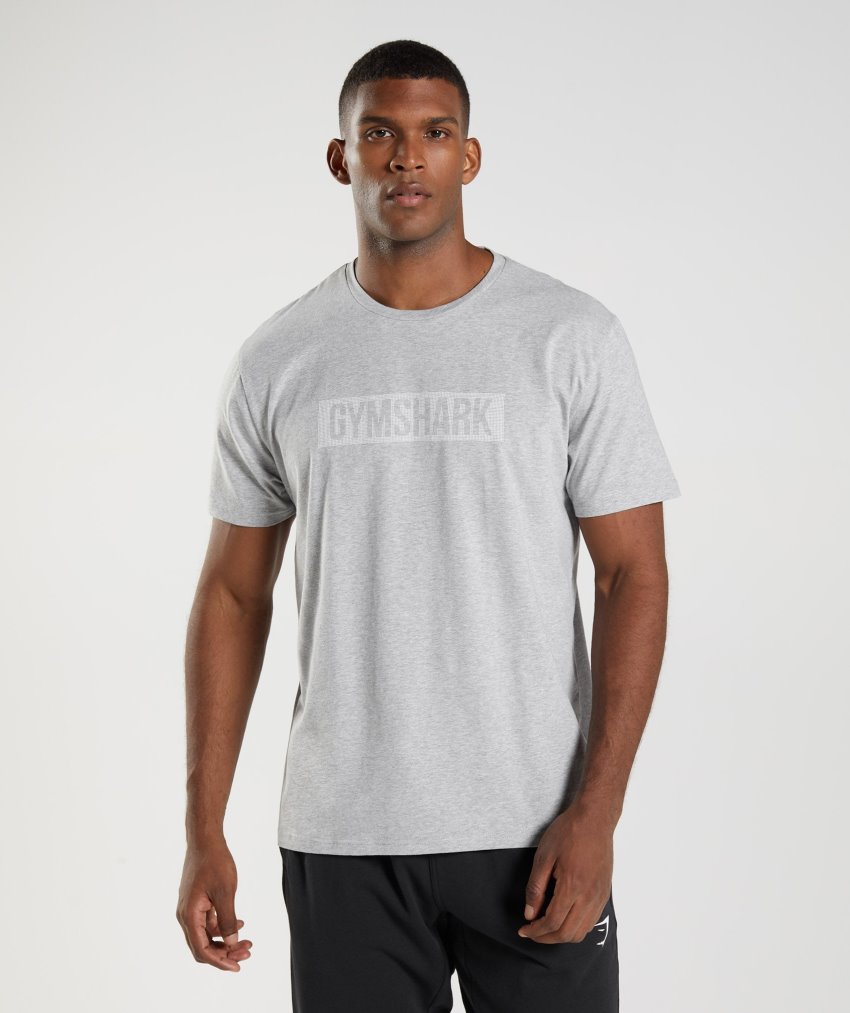 Light Grey Men\'s Gymshark Block T Shirts | CA8337-064